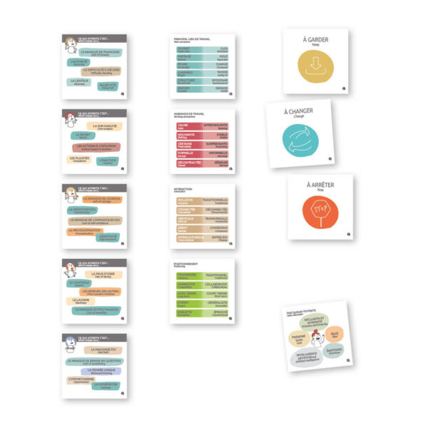 image pour site Irama Laya -2 Irma Laya