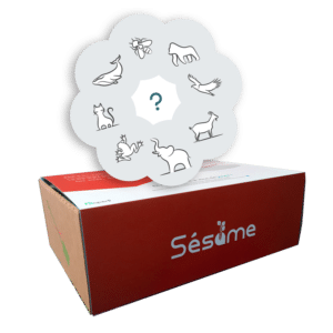 Sésame box manager agile - Devenir agile kezako ?