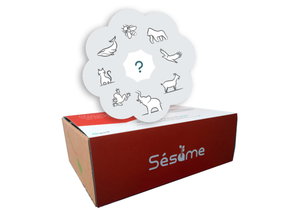 Sésame box manager agile - Devenir agile kezako ?