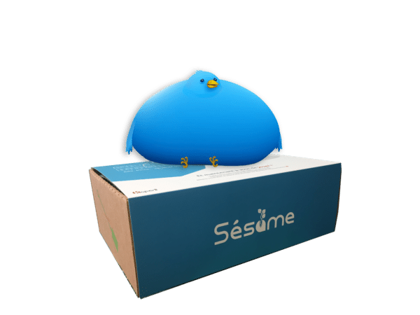 Sesame Box Culture Digitale – Infobésité, veille et déconnexion