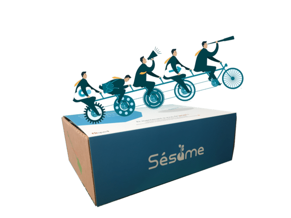 Sesame Box Culture Digitale – Collaborer en ligne