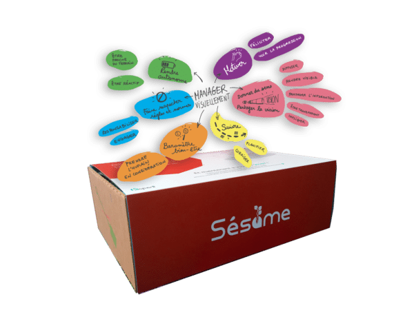 vignette_sesame_managervisuellement Sesame Box Manager Agile – Manager visuellement